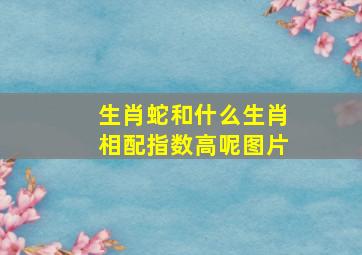 生肖蛇和什么生肖相配指数高呢图片