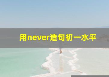 用never造句初一水平