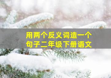 用两个反义词造一个句子二年级下册语文