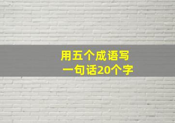 用五个成语写一句话20个字