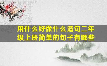 用什么好像什么造句二年级上册简单的句子有哪些