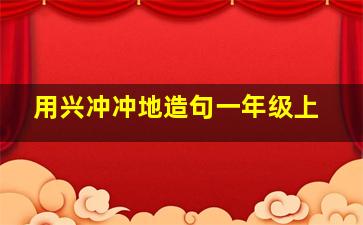 用兴冲冲地造句一年级上