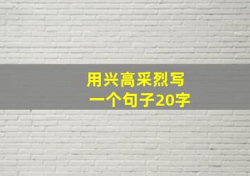 用兴高采烈写一个句子20字