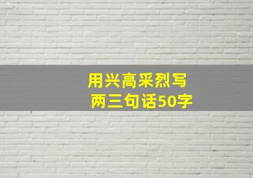 用兴高采烈写两三句话50字