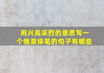 用兴高采烈的意思写一个情景排笔的句子有哪些