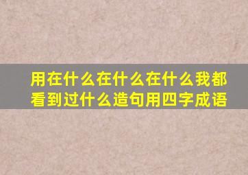 用在什么在什么在什么我都看到过什么造句用四字成语