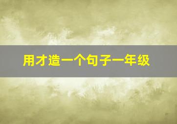 用才造一个句子一年级