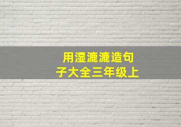 用湿漉漉造句子大全三年级上