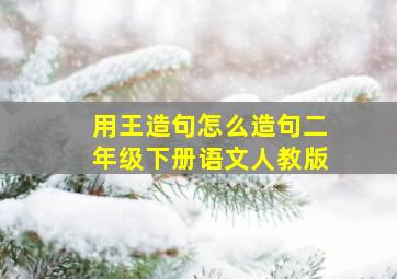 用王造句怎么造句二年级下册语文人教版