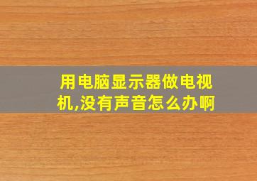 用电脑显示器做电视机,没有声音怎么办啊