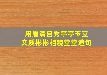 用眉清目秀亭亭玉立文质彬彬相貌堂堂造句