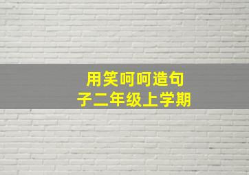 用笑呵呵造句子二年级上学期