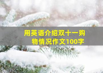 用英语介绍双十一购物情况作文100字