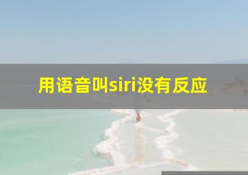 用语音叫siri没有反应