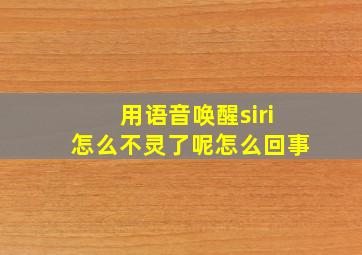 用语音唤醒siri怎么不灵了呢怎么回事