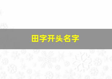 田字开头名字