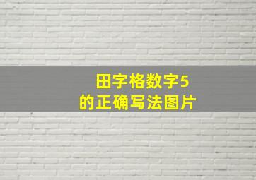 田字格数字5的正确写法图片