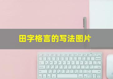 田字格言的写法图片