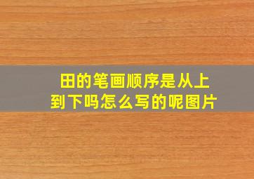 田的笔画顺序是从上到下吗怎么写的呢图片