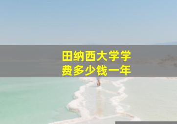 田纳西大学学费多少钱一年