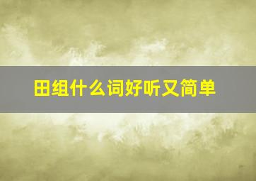 田组什么词好听又简单