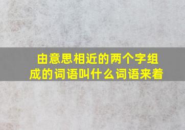 由意思相近的两个字组成的词语叫什么词语来着