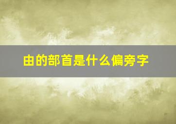 由的部首是什么偏旁字