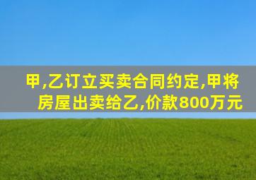 甲,乙订立买卖合同约定,甲将房屋出卖给乙,价款800万元