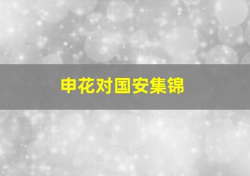 申花对国安集锦