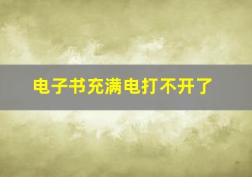 电子书充满电打不开了