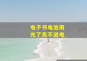 电子书电池用光了充不进电