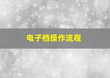 电子档操作流程