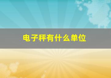 电子秤有什么单位