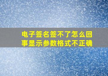 电子签名签不了怎么回事显示参数格式不正确