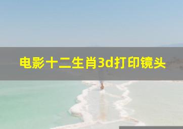 电影十二生肖3d打印镜头