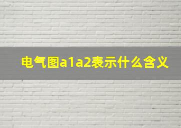 电气图a1a2表示什么含义