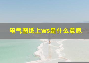 电气图纸上ws是什么意思