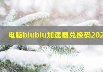 电脑biubiu加速器兑换码2024