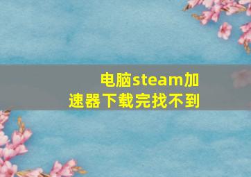 电脑steam加速器下载完找不到