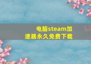 电脑steam加速器永久免费下载