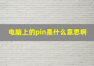 电脑上的pin是什么意思啊