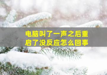 电脑叫了一声之后重启了没反应怎么回事