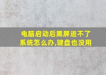 电脑启动后黑屏进不了系统怎么办,键盘也没用