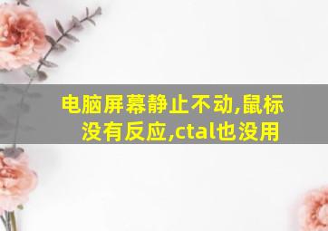 电脑屏幕静止不动,鼠标没有反应,ctal也没用