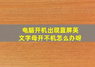 电脑开机出现蓝屏英文字母开不机怎么办呀