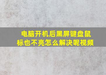 电脑开机后黑屏键盘鼠标也不亮怎么解决呢视频