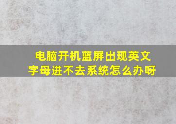 电脑开机蓝屏出现英文字母进不去系统怎么办呀