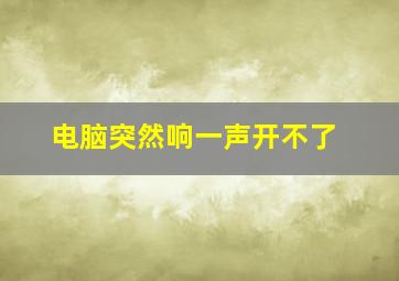 电脑突然响一声开不了