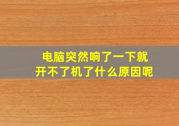 电脑突然响了一下就开不了机了什么原因呢