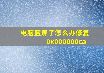 电脑蓝屏了怎么办修复0x000000ca